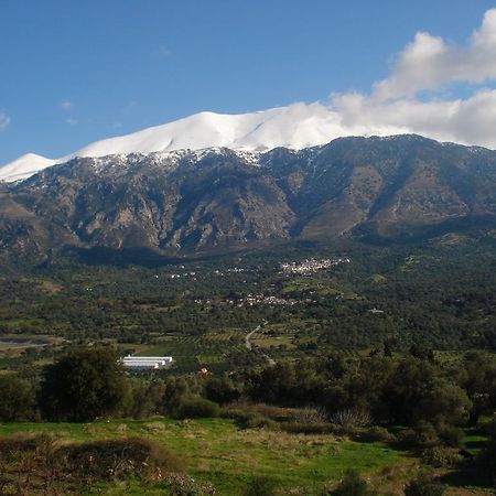 Aposeti Villas Petrochori  Luaran gambar
